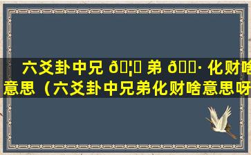 六爻卦中兄 🦅 弟 🕷 化财啥意思（六爻卦中兄弟化财啥意思呀）